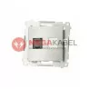 Simon54 Single RJ45 computer socket D61.01/43 silver