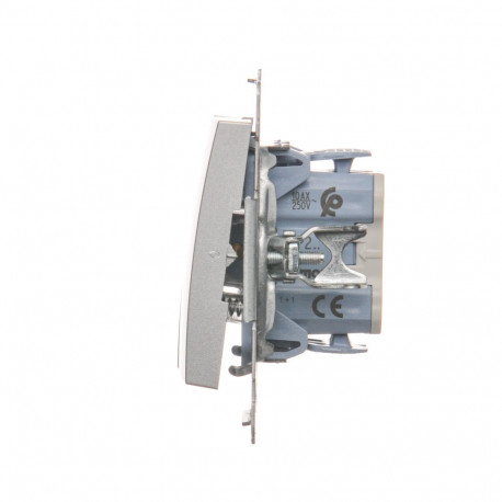 Simon54 Przycisk zwierny podwójny DP2.01/43 srebrny