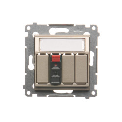 Simon54 Gniazdo głośnikowe 1-krotne z polem opisowym DGL31.01/44 złoty