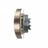 Simon54 Double grounded plug socket DGZ2MZ.01/44 gold