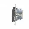 Simon54 Chandelier switch with LED illumination DW5BL.01/48 anthracite
