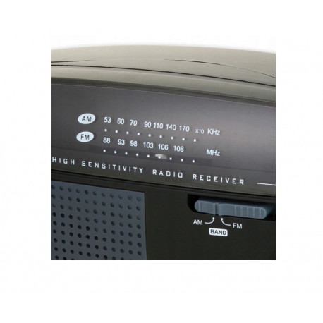 Radio Adler AD 1119 AM/FM 230V/4xR14