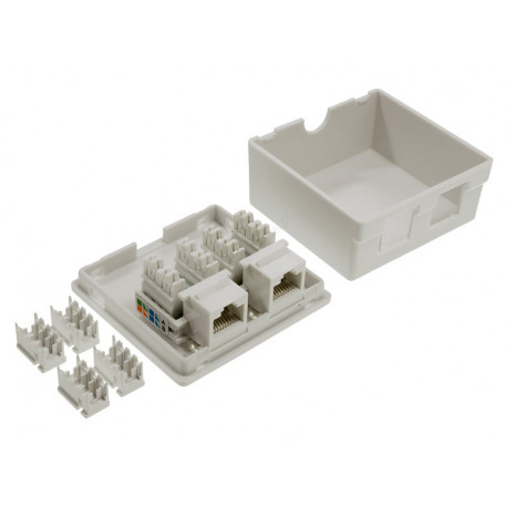 Gniazdo abonenckie komputerowe x2 SS6-6019 TEL0031-8680