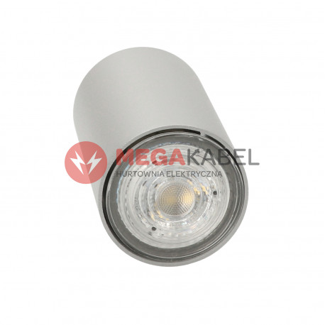 Lampa plafon TUBA EYE Silver 5257