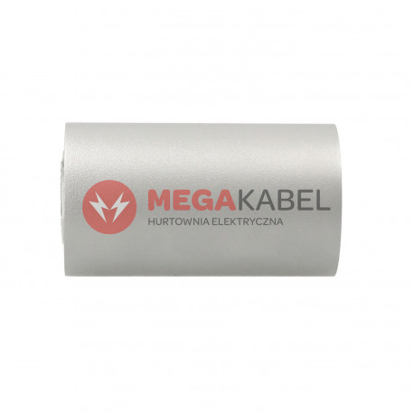 Lampa plafon TUBA EYE Silver 5257