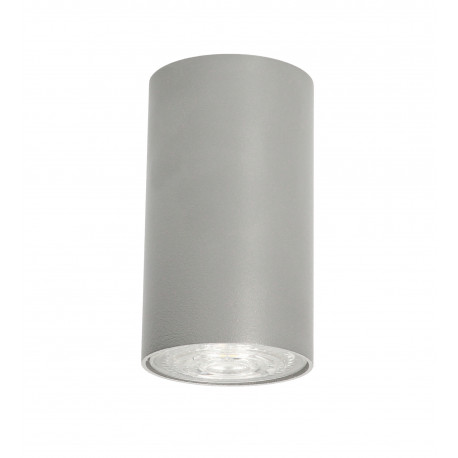 Lampa plafon TUBA EYE Silver 5257