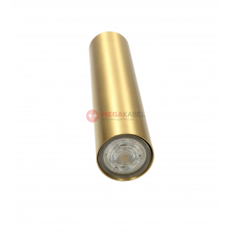 Lampa plafon M TUBA EYE Brass 8912 GU10
