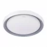 ARIEL LED C 48W plafond lamp +pilot 04012 Struhm