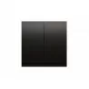 Simon54 anthracite double key switch DKW5/48