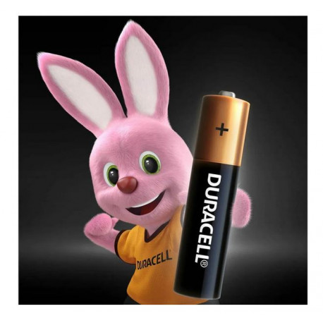 Baterie Duracell LR14 MN1400 Basic 2 sztuki DURACELL