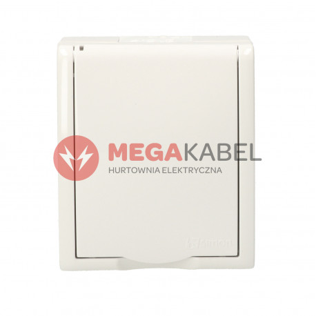 Aquarius Gniazdo 1-krotne z uziemieniem  AQGZ1/11 biały SIMON