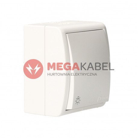 Aquarius Przycisk Światło AQS1/11 biały SIMON