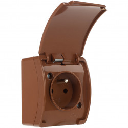 Koala gniazdo pojed.2P+Z...