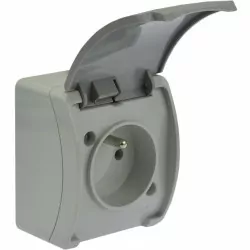 Koala gniazdo pojedyńcze 2P+Z natynkowe popiel z klapką 161-08