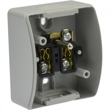 Koala gniazdo pojedyńcze 2P+Z natynkowe popiel z klapką 161-08