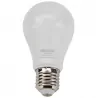 LED light bulb 10W E27 warm WW chip Samsung Tracon