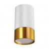 Lampa sufitowa plafon PUZON DWL GU10 biało-złoty 04122 STRUHM