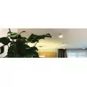 Lampa plafon sufitowy ROLEN LED biały barwa neutralna 15W 03110 STRUHM