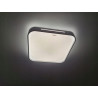 WENA LED plafond lamp D 24W +pilot 04010 Struhm