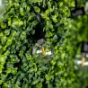 Girlanda solarna ogrodowa CALLIS 30LED +pilot 15,1m ozdobne kuleczki, barwa ciepła LUMILED