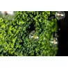 Girlanda solarna ogrodowa CALLIS 30LED +pilot 15,1m ozdobne kuleczki, barwa ciepła LUMILED