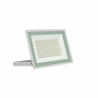 Naświetlacz halogen NOCTIS LUX-3 LED 100W zimna barwa biały SPECTRUM LED