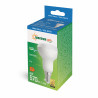 LED bulb E14 6W R-50 CW 230V Spectrum