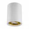 Lampa sufitowa oprawa punktowa nowoczesna tuba HARY C biało-złoty 04239 GU10 STRUHM