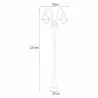 Lampa ogrodowa wysoka latarnia zewnętrzna dwuramienna BOSTON K-8132 czarna 2xE27