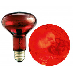 Promiennik podczerwieni...