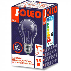 Żarówka 24V 60W E27 GLS...
