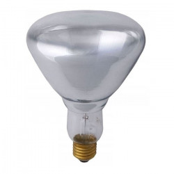 Promiennik przezroczysty...