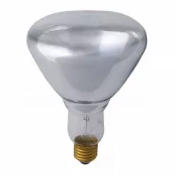 Promiennik przezroczysty...