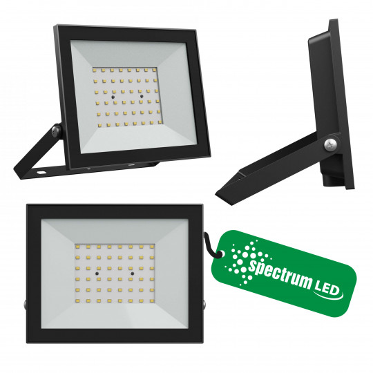 Naświetlacz NOCTIS LUX-4 LED 50W neutralna barwa NW czarny 176x137x25mm SPECTRUM LED